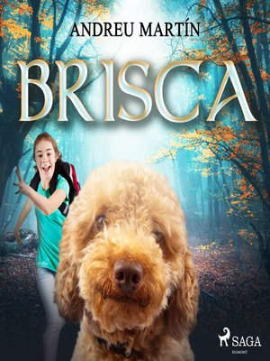 cover image of Brisca